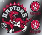 Toronto Raptors logo, NBA takımı. Atlantik Grubu, Doğu Konferansı